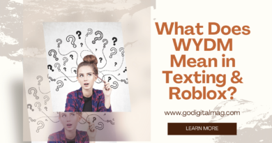 What Does WYDM Mean in Text and Roblox