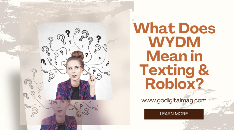 What Does WYDM Mean in Text and Roblox